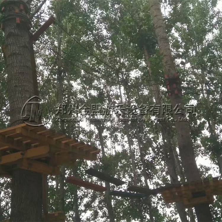 叢林穿梭（suō）_體能樂園